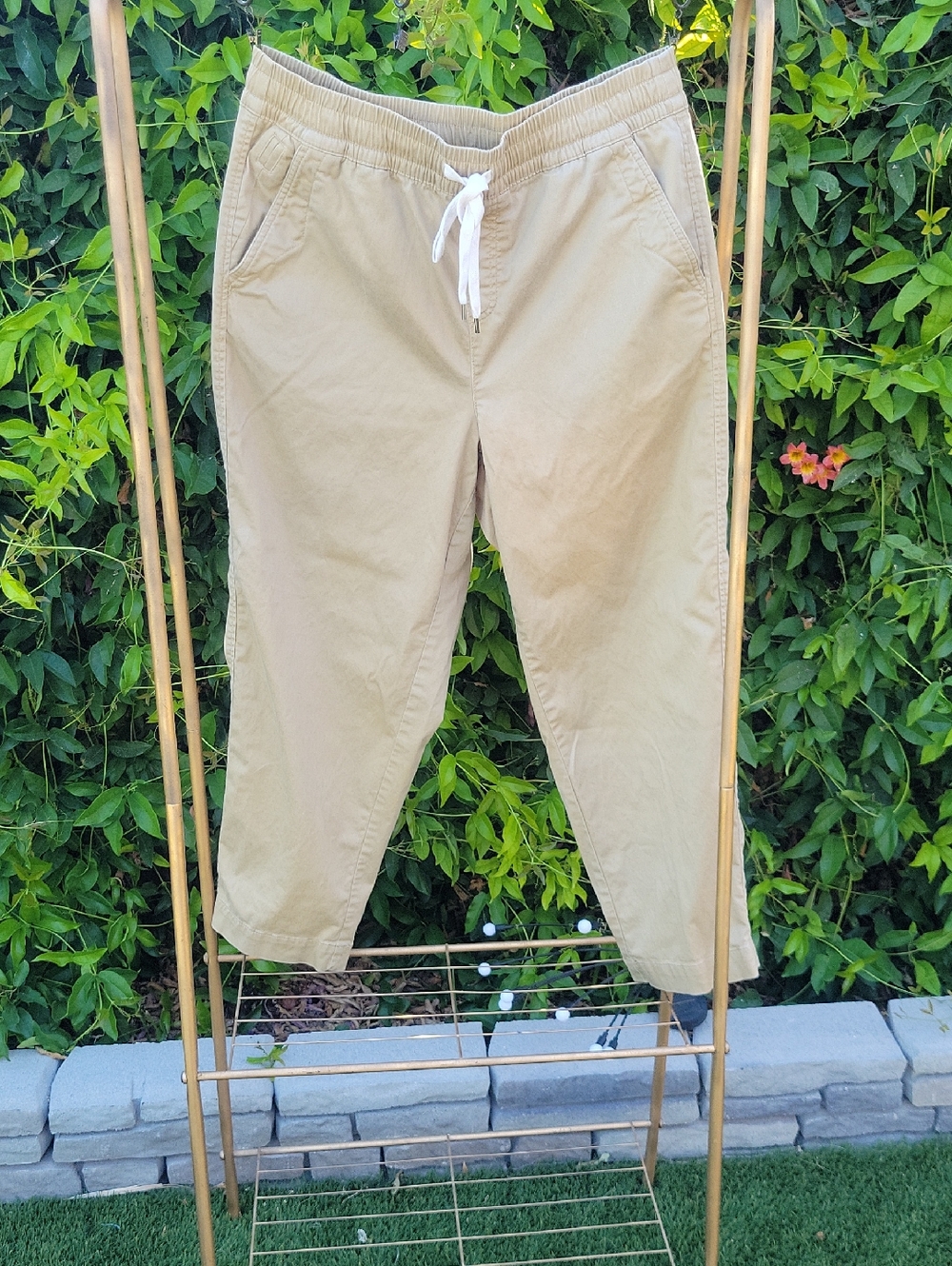 Lane Bryant Tan Drawstring Elastic Waist Chino Pants 14